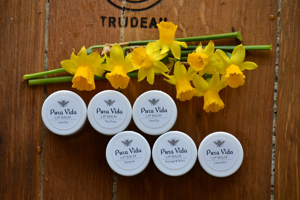 Natural Lip balms