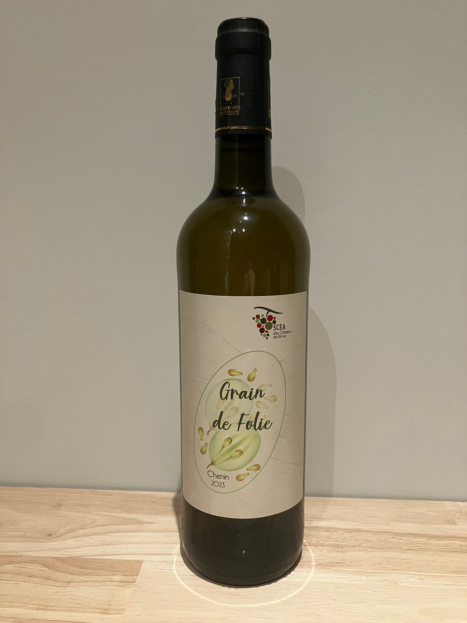 Grain de Folie 100% Chenin 2023 (12.5°) BIO