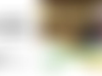 Stand Up for Rudy and His $100,000 Commitment to You