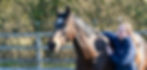 _DSC9345_edited_edited.jpg