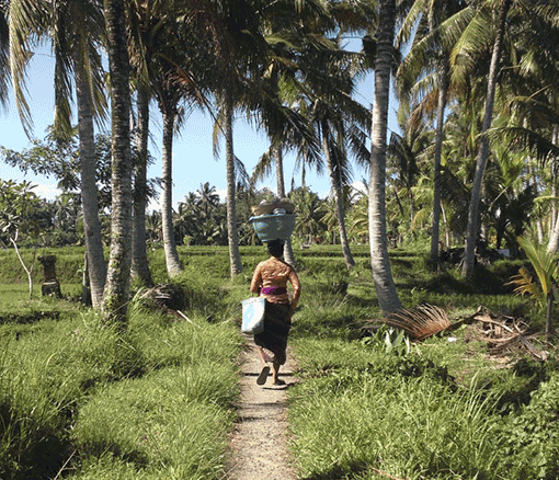 FLOCK Boutique Bali Ubud & Canggu