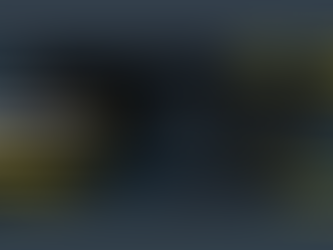 sportsbook petirzeus88