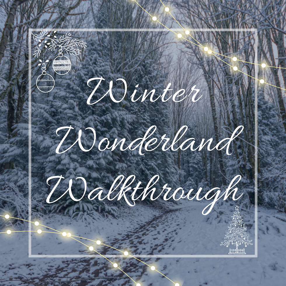 Winter Wonderland Walkthrough @ Yellow Lake Trail