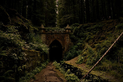 gray%252520concrete%252520tunnel%252520under%252520green%252520trees_edited_edited_edited.
