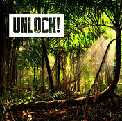 Unlock.jpg