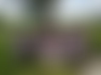 "Final Chapter " Preview to This weekend S.T.C