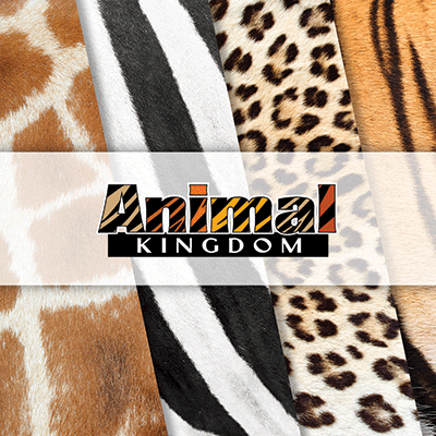 Animal-Kingdom-Collection-Square-fw.gif