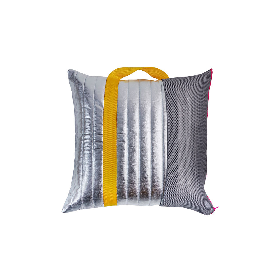Silver In Transit cushion