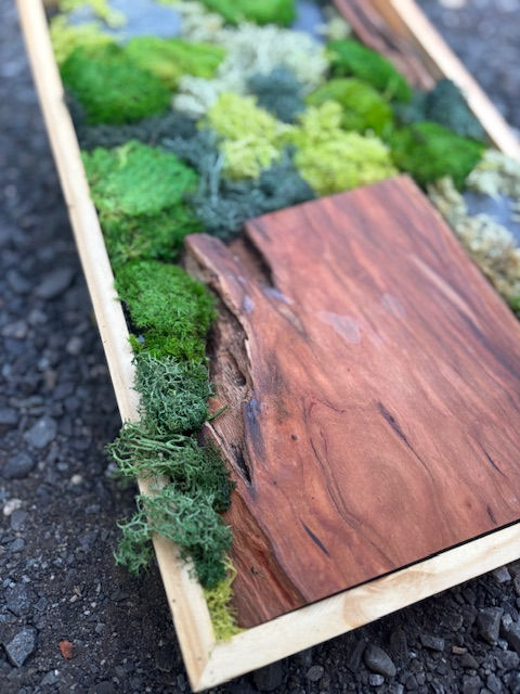 Thumbnail: Apple Wood Moss Art