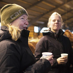 Kalvträff på välmående gård i Nässjö kommun