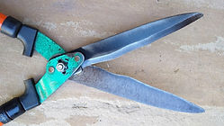 A pair of sharpened garden shears