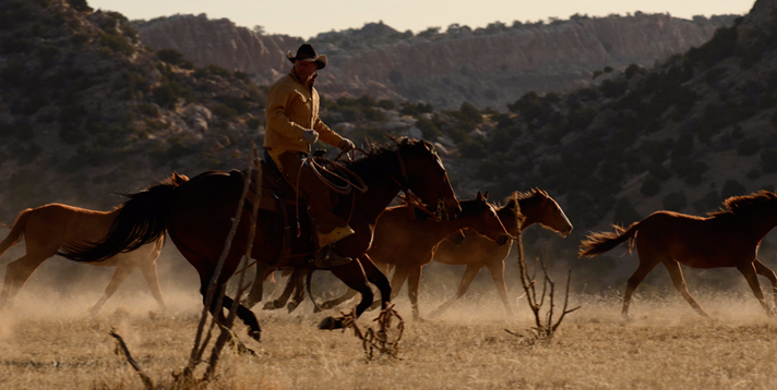 Cowboy au travail