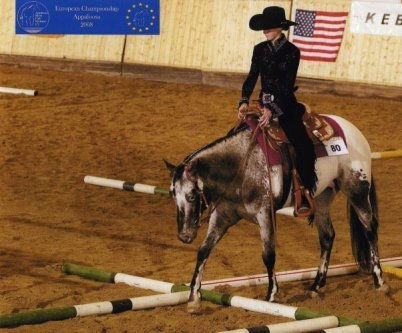 Parcours d'obstacle western