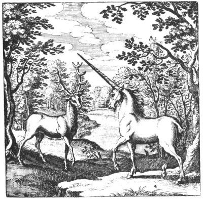 Licorne