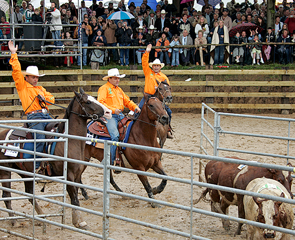 Team penning