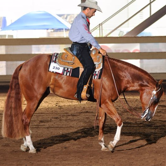 Western horsemanship