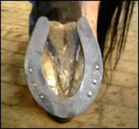 Fer de reining