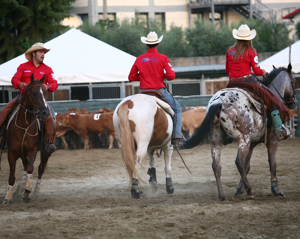 Team penning