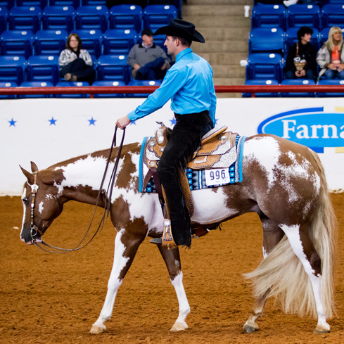 Épreuve d'équitation western