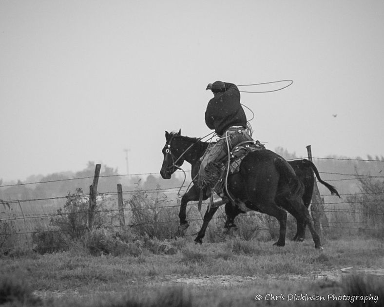 Roping