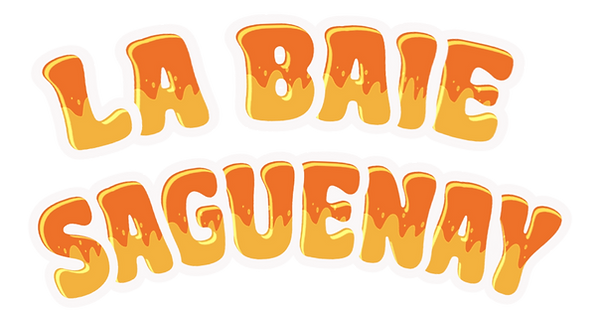 La-Baie-Saguenay-01-12-2025 (2).png