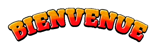 Bienvenue-2025-11-30 (1).gif