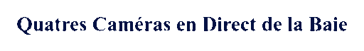 Quatres-Cam-ras-en-Direct-de-l-30-04-2025.gif