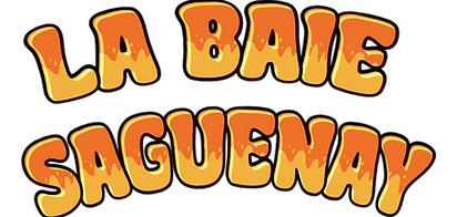 La-Baie-Saguenay-01-12-2025 (1).png