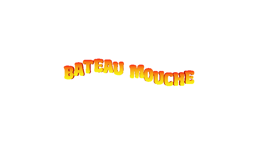 bateau-mouche-gif-2025-08-13.gif