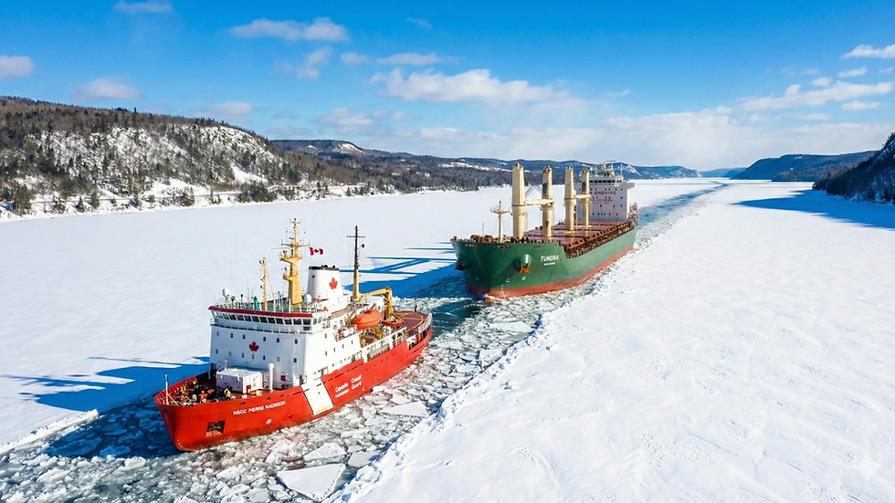 tundra et le pierre radisson fjord.png