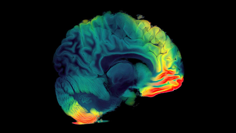 AACPN Launches Psychedelic Research Initiative to Advance Veteran Mental Health Innovation