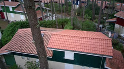 3734942_100DRONE_SING0595 2