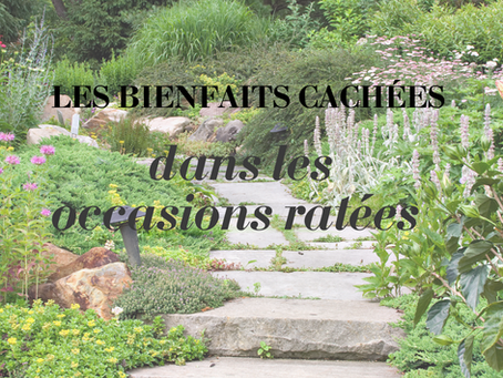 Il connaît les projets qu’Il a formés pour toi