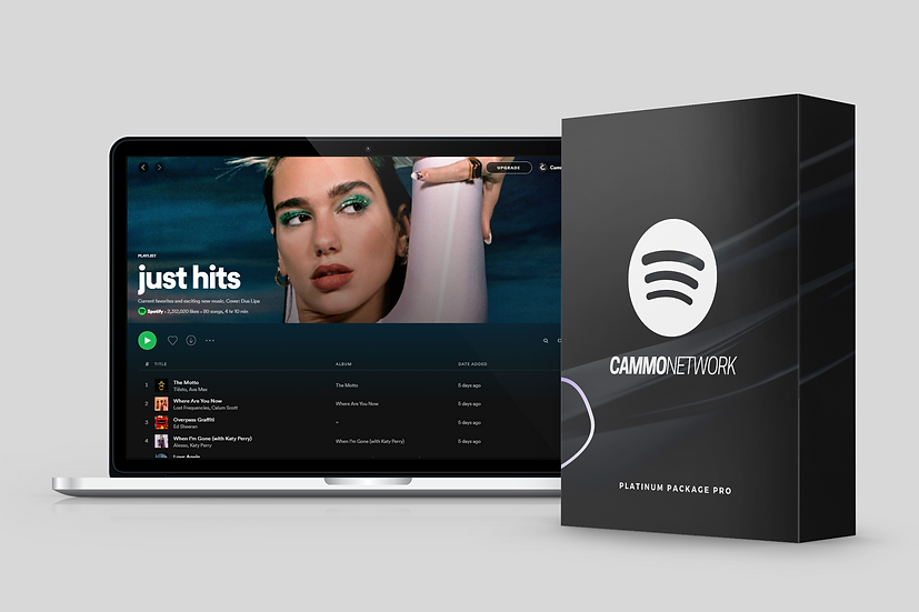 Music promotion bundle for multi-platform growth