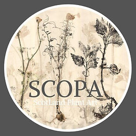SCOPA logo_edited.jpg
