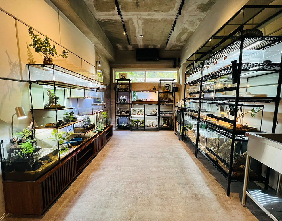 新店舗UROKO.jpg
