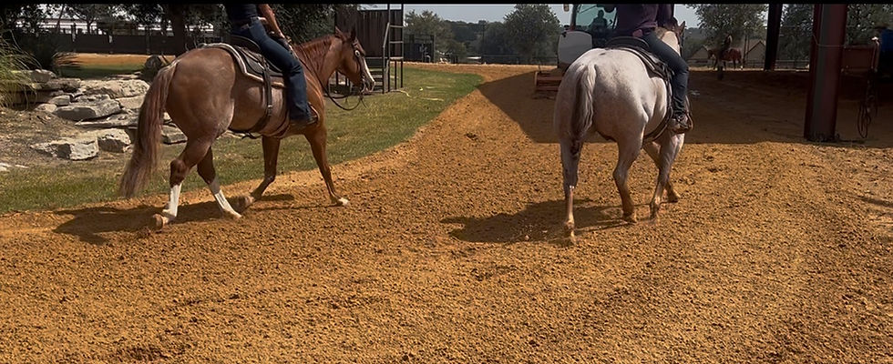 View recent photos (1).jpeg