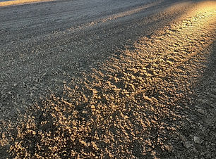 View recent photos (3).jpeg