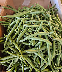 A rustic wooden display box filled to the brim with crisp, freshly harvested green beans at the farm market.