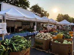 Theis Evergreen Farm stand at the Plainfield Farmers Market, featuring fresh produce under a white canopy.