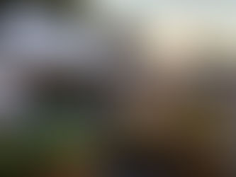 Theis Evergreen Farm stand at the Plainfield Farmers Market, featuring fresh produce under a white canopy.