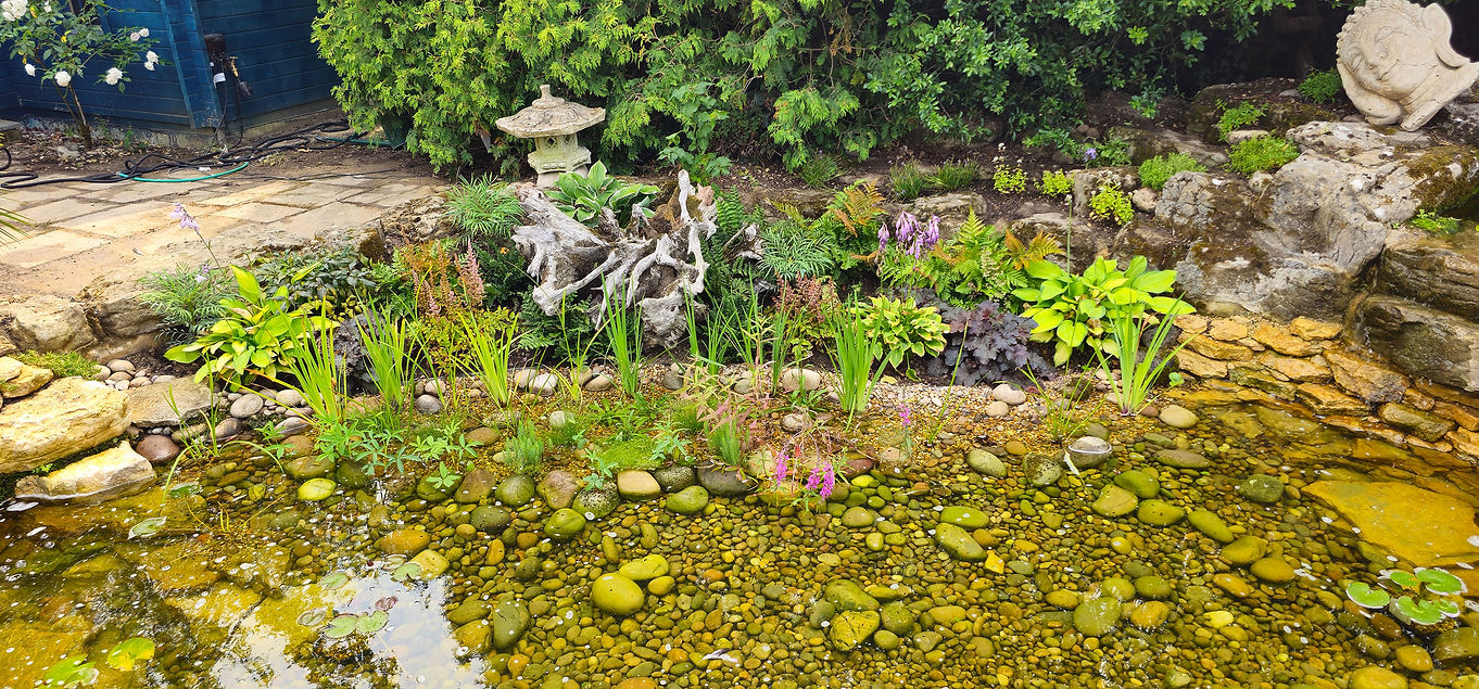 A serene garden pond with clear water and smooth stones