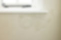 damp in walls