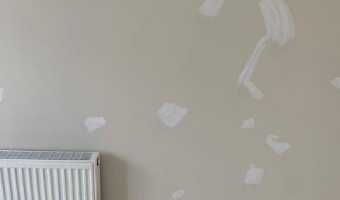 Wall primed ready for painting
