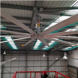 Overhead view of a large multi blade industrial ceiling fan