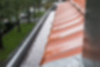 gutter cleaning