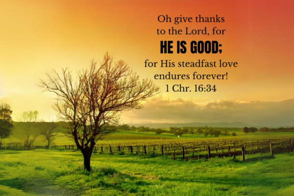 Newsletters