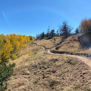 Image of Pole Mountain Connector trail