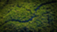 aerial-view-of-a-road-and-green-trees-free-photo.jpeg