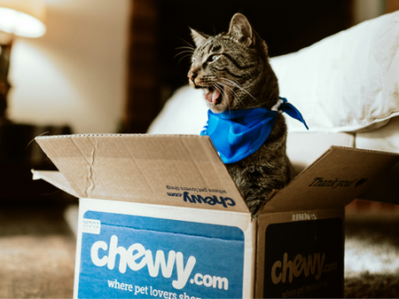 Chewy’s Customer Experience as a Marketing Strategy
